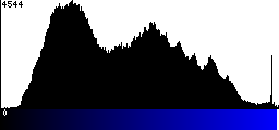 Blue Histogram