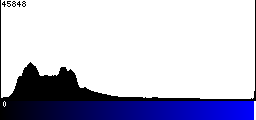 Blue Histogram