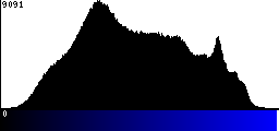 Blue Histogram