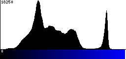 Blue Histogram