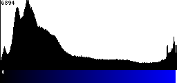 Blue Histogram