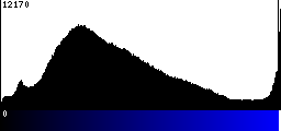 Blue Histogram