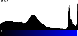 Blue Histogram