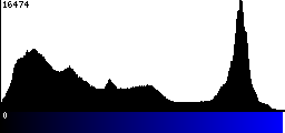 Blue Histogram