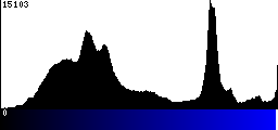 Blue Histogram