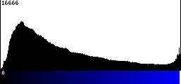 Blue Histogram