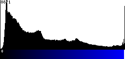 Blue Histogram