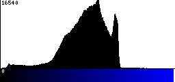 Blue Histogram