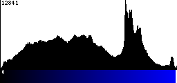 Blue Histogram