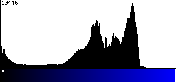 Blue Histogram