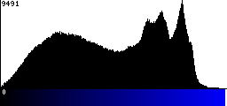 Blue Histogram