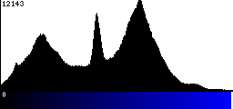 Blue Histogram