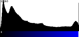 Blue Histogram