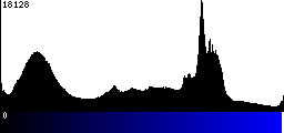 Blue Histogram