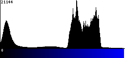 Blue Histogram