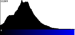 Blue Histogram