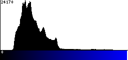 Blue Histogram