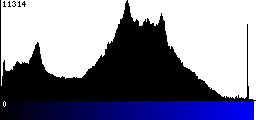 Blue Histogram