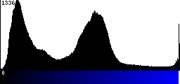 Blue Histogram