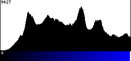 Blue Histogram