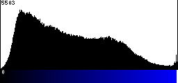 Blue Histogram