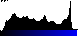 Blue Histogram