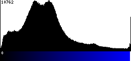 Blue Histogram