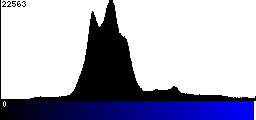 Blue Histogram