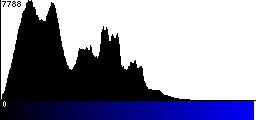 Blue Histogram