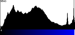 Blue Histogram