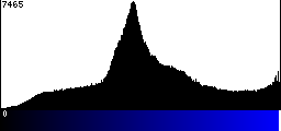 Blue Histogram