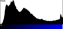 Blue Histogram