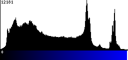 Blue Histogram