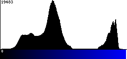 Blue Histogram