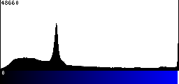 Blue Histogram