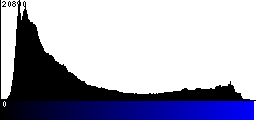 Blue Histogram