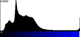 Blue Histogram