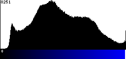 Blue Histogram