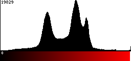 Red Histogram