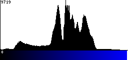 Blue Histogram