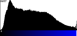 Blue Histogram