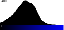 Blue Histogram