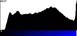 Blue Histogram