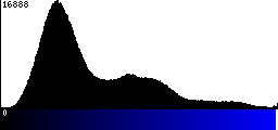 Blue Histogram