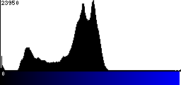 Blue Histogram