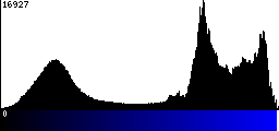 Blue Histogram