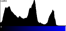 Blue Histogram