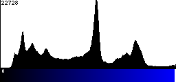 Blue Histogram