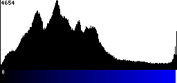 Blue Histogram