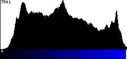 Blue Histogram